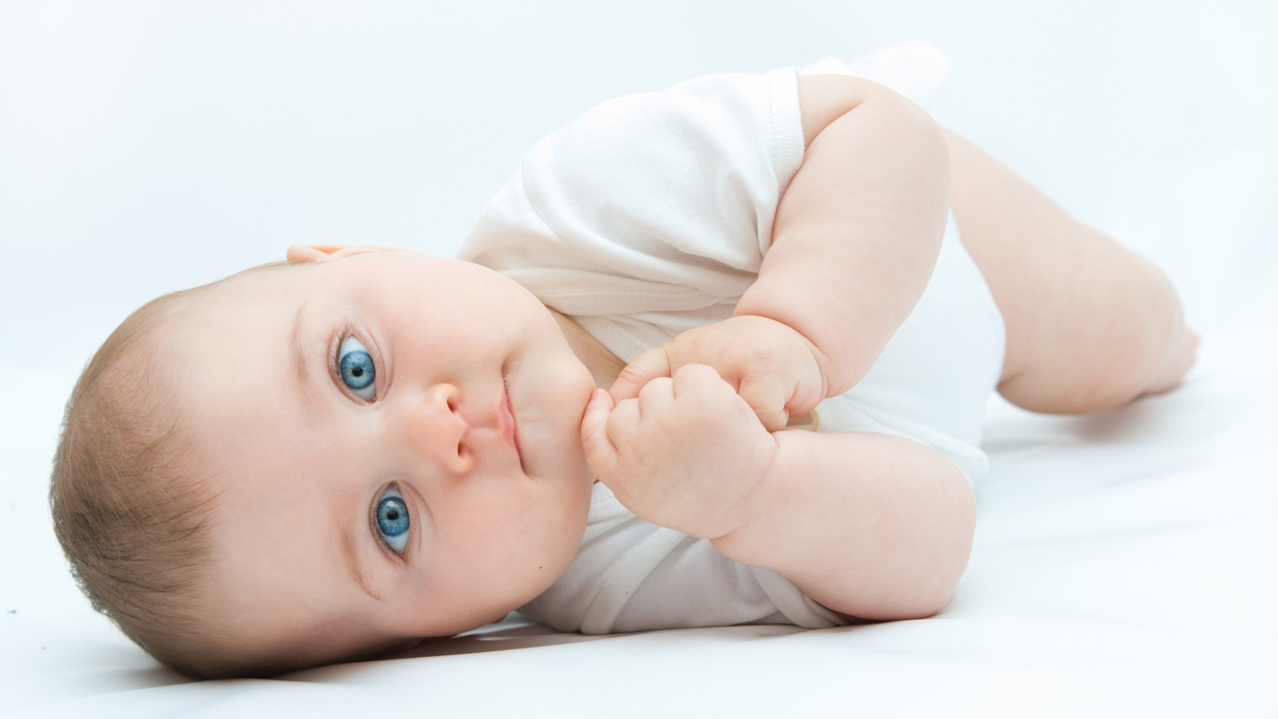 助孕公司机构试管婴儿成功彩超图